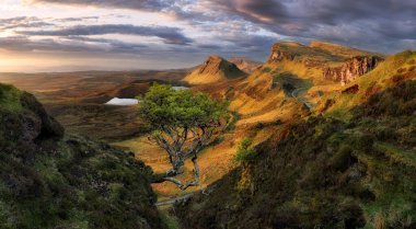 İskoçya 'da efsanevi ağaçlarla dolu bir dağ manzarası dramatik gündoğumunda sessizleşiyor.