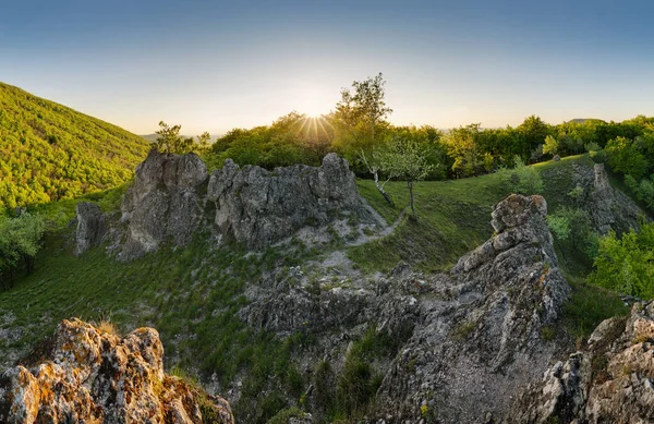 Прекрасний Ліс Навесні Яскравим Сонцем Сяє Через Дерева — стокове фото