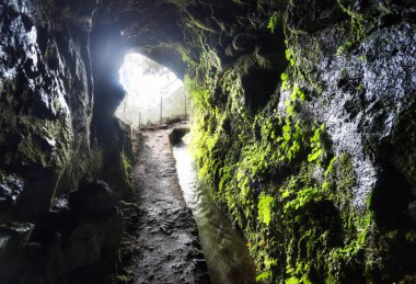 Madeira 'da yürüyüş parkurundaki tünel, Levada Caldeirao Verde