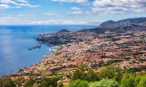 Funchal City Day Madeira Portugal —  Fotos de Stock