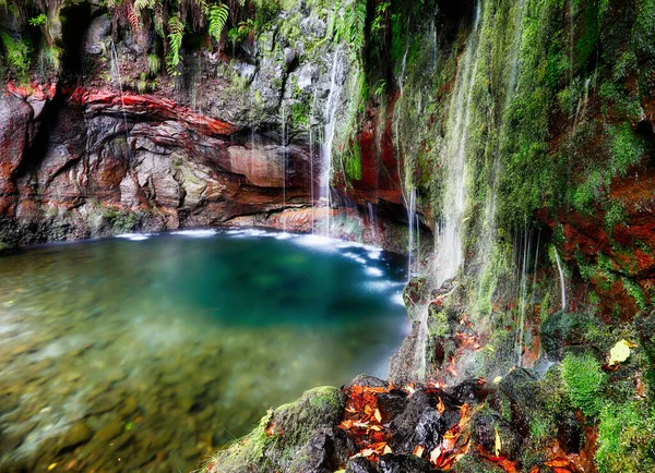 Madeira Waterfall Fontes Springs English Rabacal Paul Serra Access Possible — Stock Photo, Image