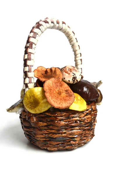 Miscellaneous of mushrooms in the weaved hand-made paper basket — Stock Photo, Image