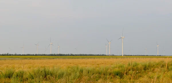 Un parco eolico nel vasto campo — Foto Stock