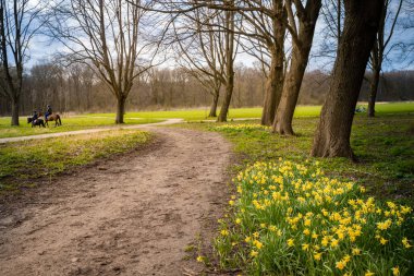 Sonbahar parklarındaki patika doğa renkleri gölet ve arka plan ağaçları