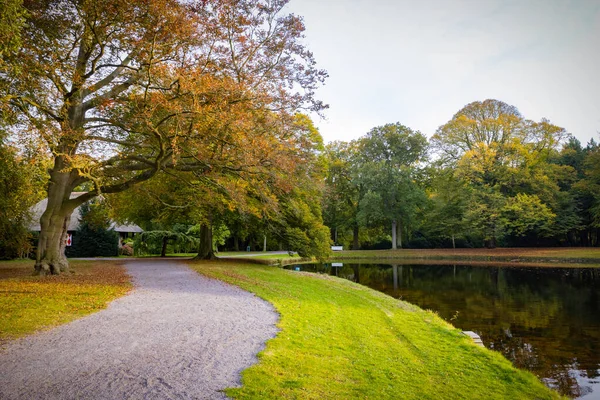 秋の公園の小道自然色の池と背景の木 — ストック写真