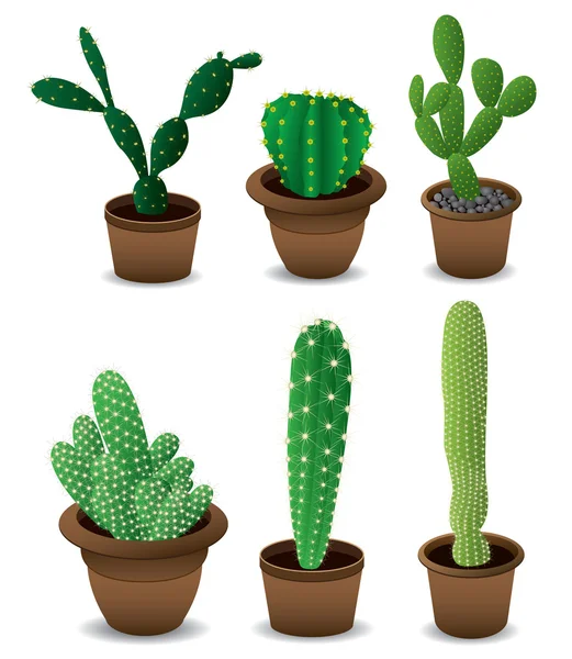 Kaktusz készlet — Stock Vector