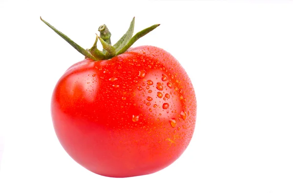 Izolované rajče a paprika — Stock fotografie