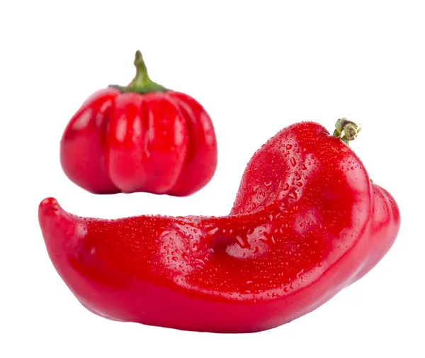 Tomate y pimienta aislados —  Fotos de Stock