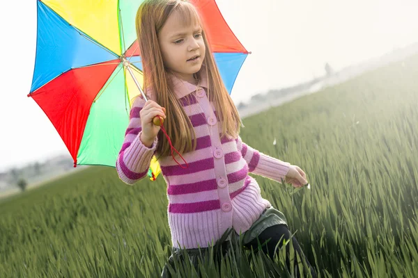 Bunter Regenschirm — Stockfoto