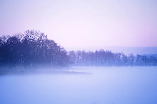 Sisli arazi — Stok fotoğraf