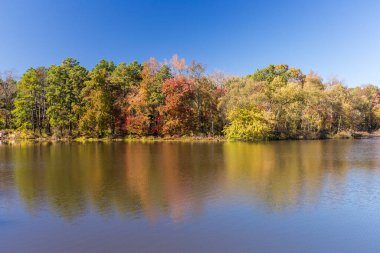 Arkansas sonbahar manzarası, Petit Jean eyalet parkı