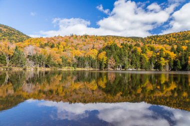 New Hampshire 'daki White Mountain Ulusal Ormanı' nda renkli sonbahar manzarası ve yansıması.