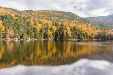 New Hampshire 'daki White Mountain Ulusal Ormanı' nda renkli sonbahar manzarası ve yansıması.