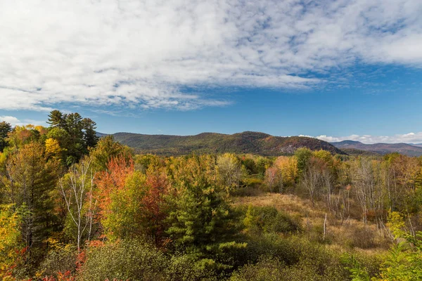 Colorido Bosque Nacional Montaña Blanca Otoño New Hampshire — Foto de Stock
