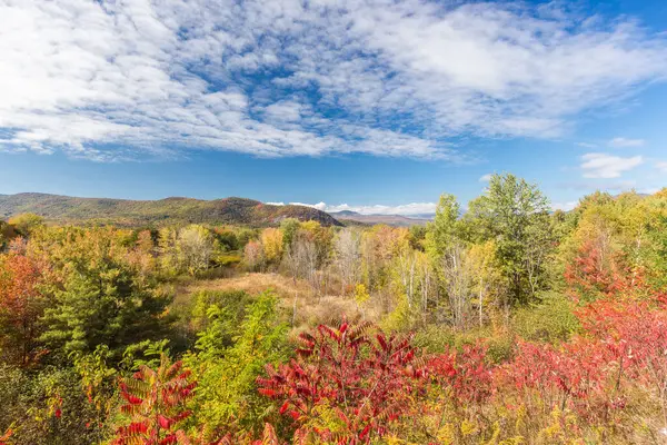 秋のカラフルな白い山国立の森 ニューハンプシャー州 — ストック写真