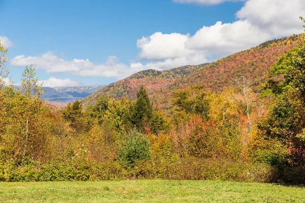 ニューハンプシャー州の秋の白い山国立の森 — ストック写真