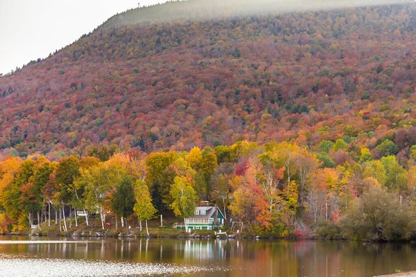 Follaje Otoñal Parque Estatal Elmore Vermont — Foto de Stock