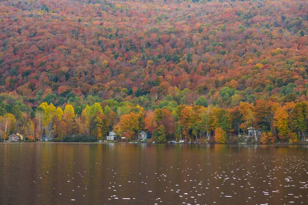 Vermont, Elmore Eyalet Parkı 'ndaki güzel sonbahar yeşillikleri ve kulübeleri.