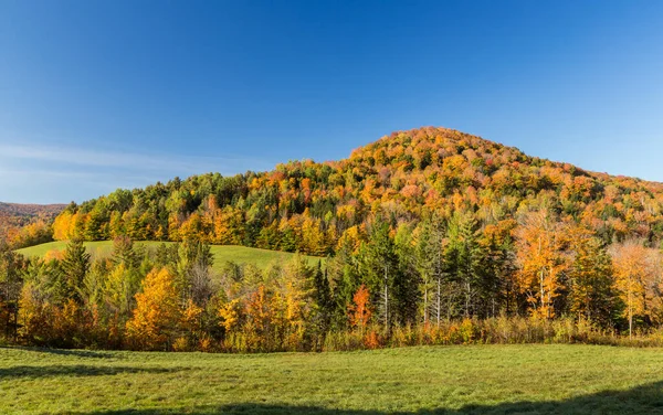 Feuillage Des Chutes Dans Campagne Vermont — Photo