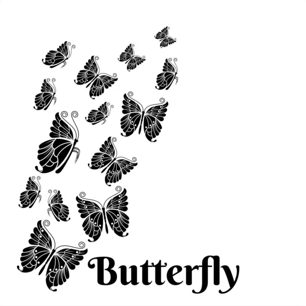 Schmetterling Silhouette Design Vektor Und Illustration — Stockvektor