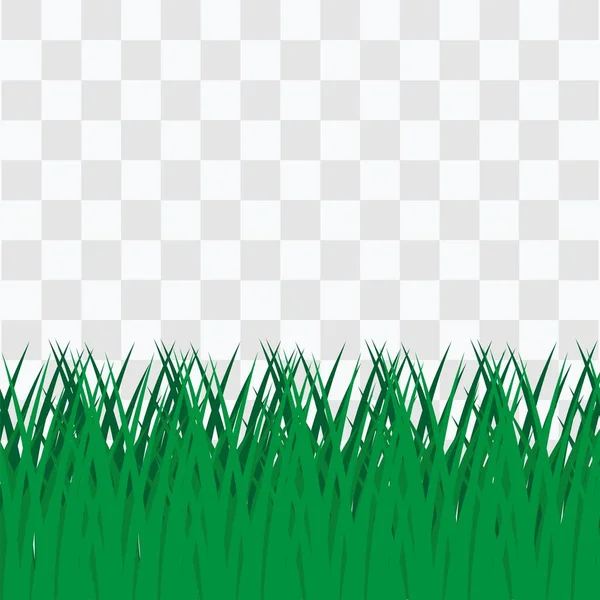 Green Grass Vector Transparent Background — Vetor de Stock