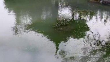 rüzgarlı bir gün Çin evi yansımaları ile crisping su