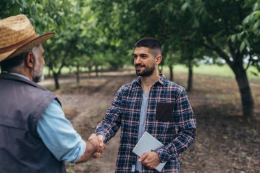 Çiftçilerin tokalaşması fındık bahçesinde