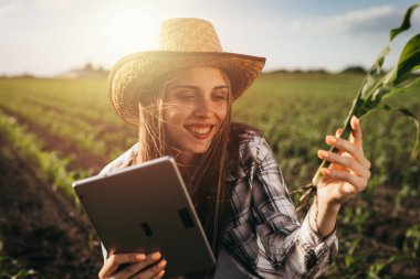 Dışarıdaki kadın dijital tablet kullanıyor ve tarladaki mısır bitkilerini inceliyor.