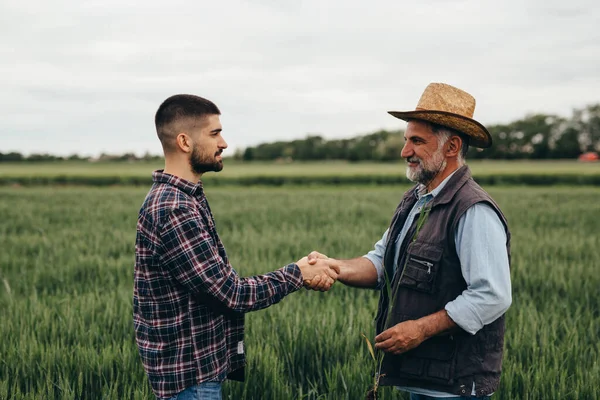 Business People Handshake Outdoor Field — Stock fotografie