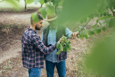 Ceviz bahçesinde konuşan çiftçiler