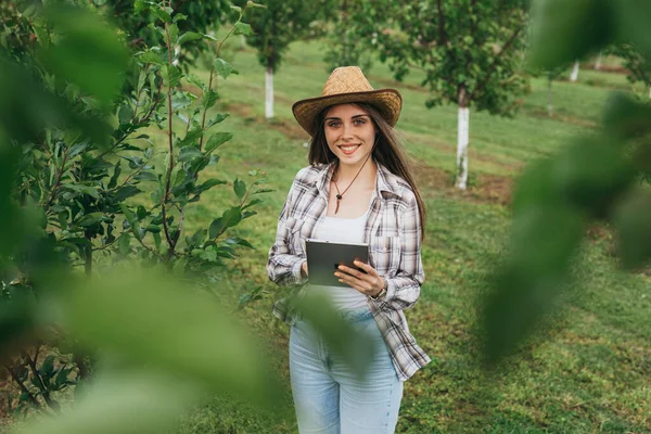 Kadın çiftçi meyve bahçesindeki ağaçları inceliyor. Dijital tablet kullanıyor.
