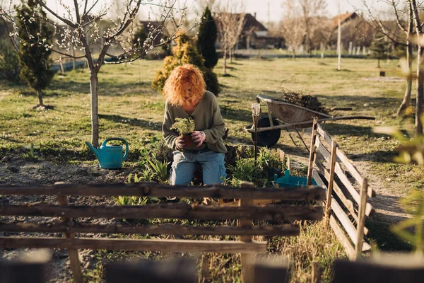 Kvinna Plantera Örter Och Grönsaker Sin Trädgård — Stockfoto