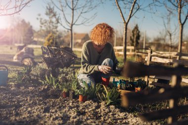 Kadın arka bahçesinde sebze ve ot ekerek eğleniyor.