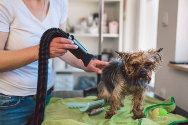 Kadın kuaförde çalışıyor.