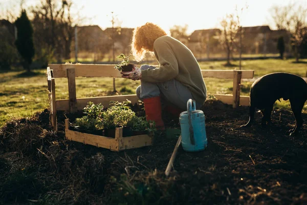 Mujer Disfrutando Del Tiempo Jardinería Patio Trasero —  Fotos de Stock