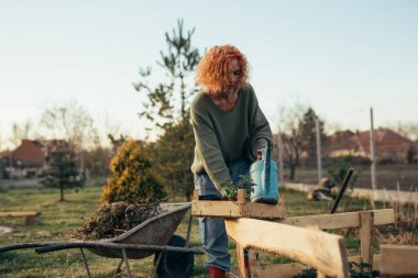 Bahçesinde sebze yetiştiren bir kadın.