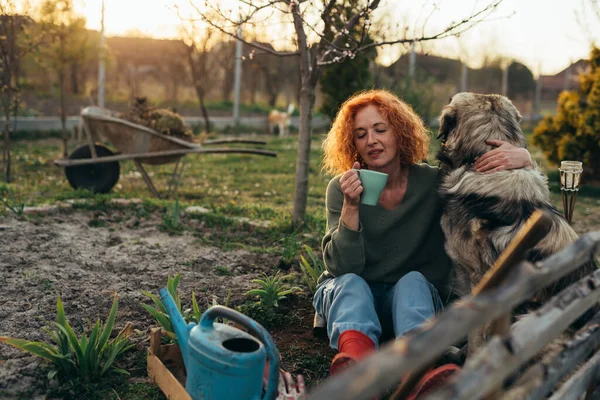 Femme Jardinage Légumes Herbes Dans Son Jardin Elle Boit Café — Photo