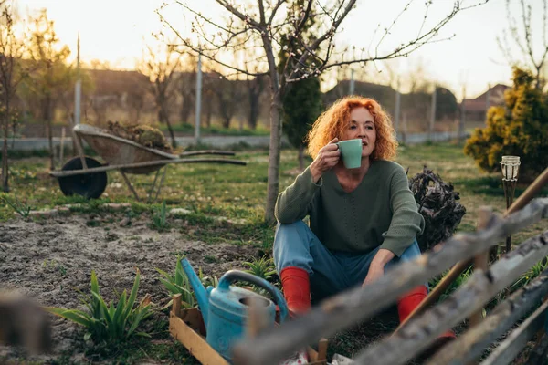 Mujer Jardinería Verduras Hierbas Patio Trasero Ella Está Bebiendo Café — Foto de Stock