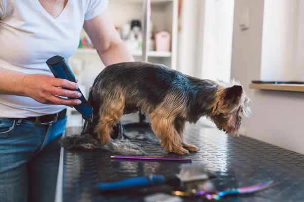 Kadın kuaförde çalışıyor.