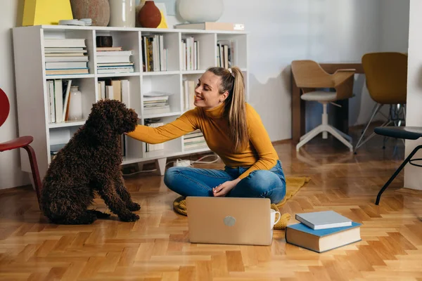 Junge Frau Spielt Hause Mit Ihrem Hund — Stockfoto