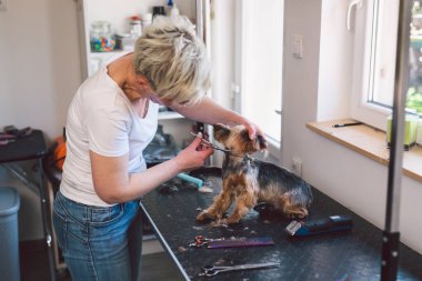 Kafkasyalı kadın kuaföründe saç kesimi için makas kullanıyor.