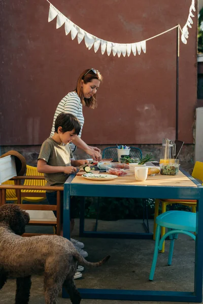 Boy Helps His Mother Prepare Food Barbecue Backyard — Stok fotoğraf
