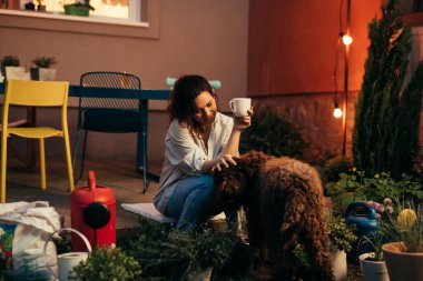 Kadın bahçesinde rahat bahçeli çiçekler hissediyor. Akşam sahnesi. Köpeğiyle oynuyor.