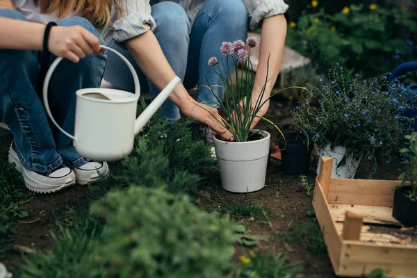 close up of mother and daughter enjoying gardening in home backyard