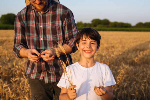 Father Learning His Son Agricultural Business Standing Wheat Field Young — Stock fotografie