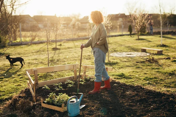 Adult Female Working Her Backyard Garden —  Fotos de Stock