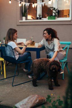 mother and her teenager daughter sitting table and talking outdoor in home backyard