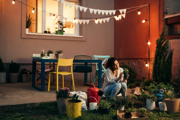 adult woman gardening in her home backyard.evening scene