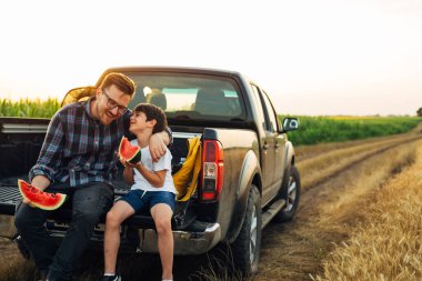 father and son eating watermelon sits on trunk of truck in wheat field