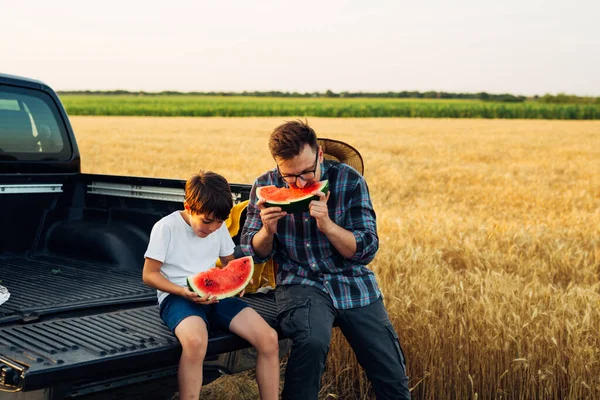 Father Son Eating Watermelon Sits Trunk Truck Wheat Field — Stok fotoğraf